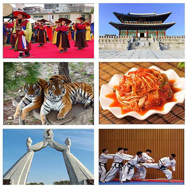 India South Korea Business and Cultural Council - About South Korea